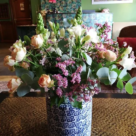 La Marisa Grande 3* 圣让－德吕兹