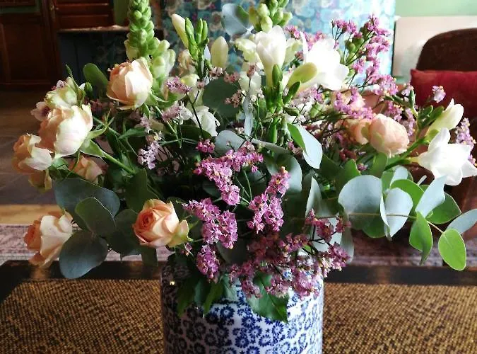 La Marisa Grande 3* سان جان دو لوز